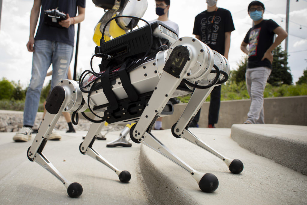A Mini-Cheetah robot at The University of Michigan. Photo: Robert Coelius/Michigan Engineering.