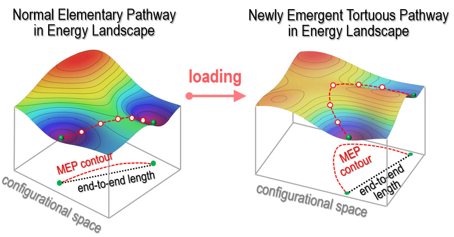 A figure showing pathways in energy landscape
