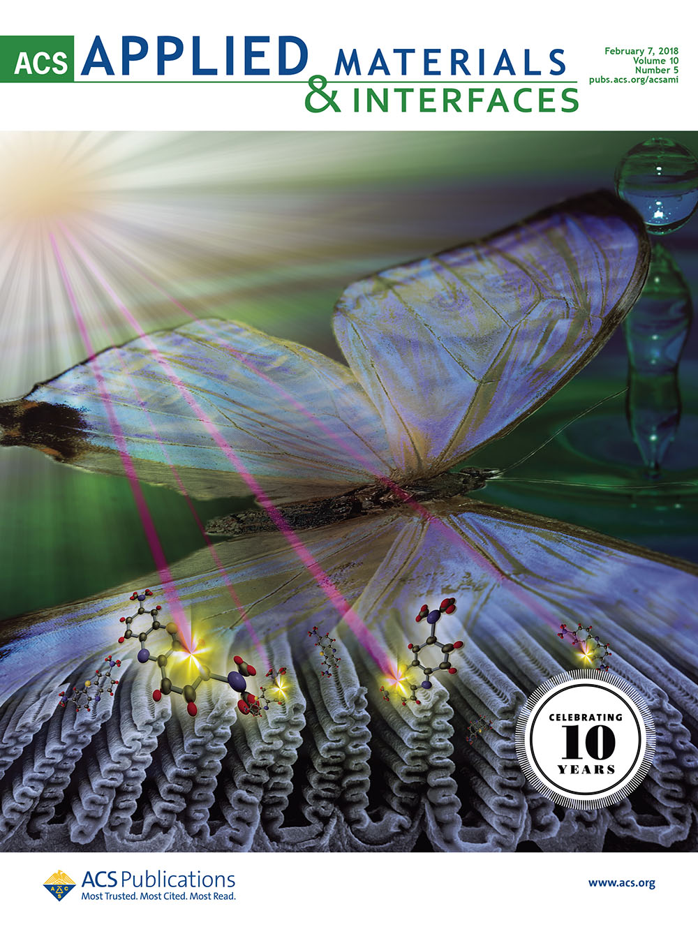 Biotemplated Morpho Butterfly Wings for Tunable  Structurally Colored Photocatalysts
