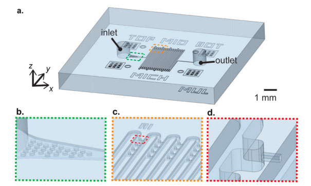 ALL TOGETHER NOW: The Liu lab’s microfluidic apparatus (top) allows the measurement of mechanical forces on 128 cells simultaneously. The bottom panel shows a filtering unit (left) that removes clumps of cells and debris before single cells enter a continuous microchannel folded into 16 columns with 4 aspiration chambers per column (center). Each chamber connects to a micropipette through which mechanical forces can be applied to individual cells (right).