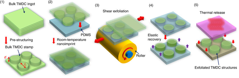 Schematic illustration of nanoimprint-assisted shear exfoliation and transfer-printing (NASE+TP) processes for generating pre-patterned nanostructures of layered materials.