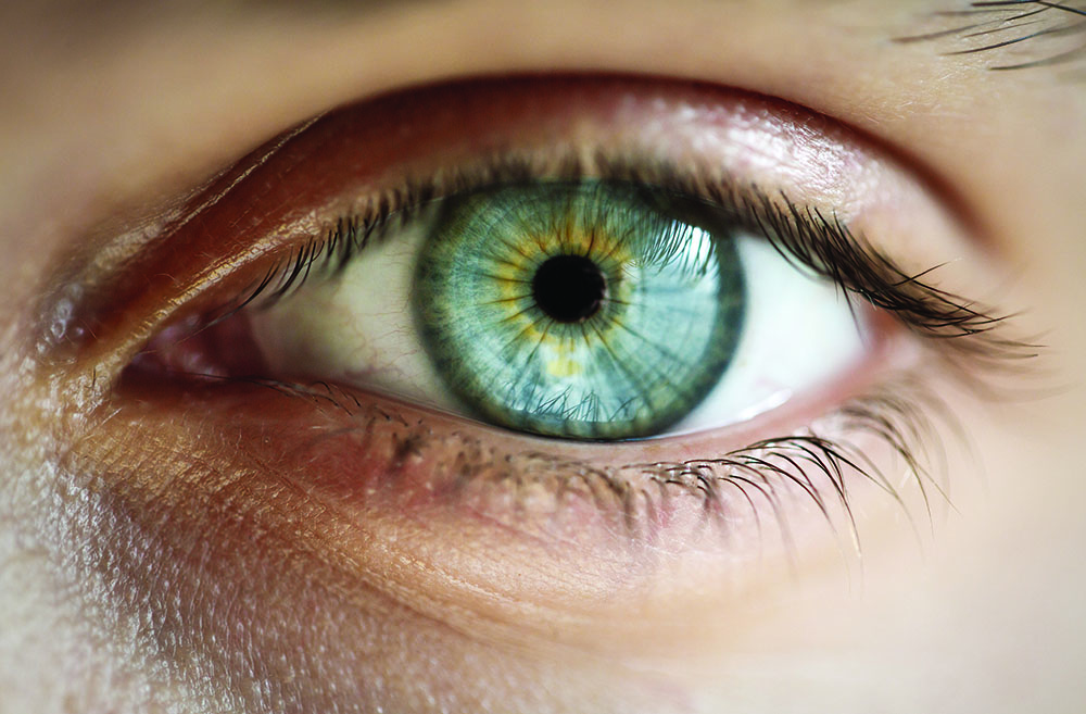 During development, cells in the iris and sclera (whites) of the eye sense their positions by the physical principles of mechanics and mass transport.