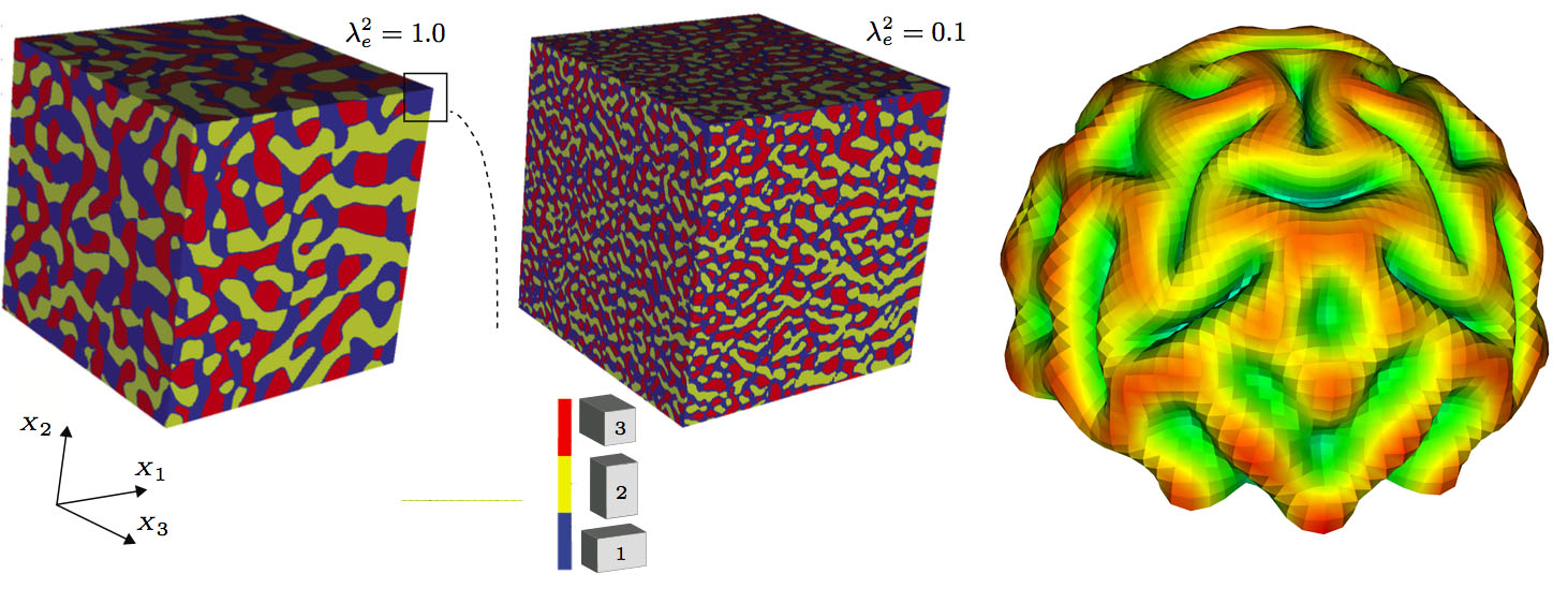 Mechanics and chemistry are at play in forming the patterned microstructures in inorganic materials (left). Elastic buckling initiates the characteristic folded appearance of the brain (an idealized model is demonstrated on the right).