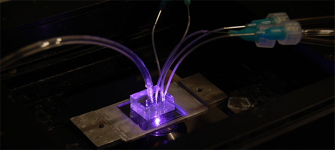 The system he developed includes two main components: a microfluidic biochip and an integrated fluorescence microscope.