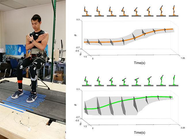 Vasudevan’s approach uses motion capture data of a participant (left) to determine the stability of a movement strategy. Two different strategies (right, orange and green) differ in the size and shape of their BOS (gray). The BOS of the green strategy is larger, indicating that this strategy is more stable.