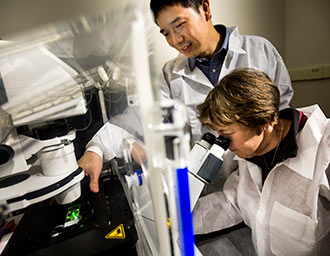 Deborah Gumucio, James Douglas Engel Collegiate Professor of Cell and Developmental Biology, and Jianping Fu, Associate Professor of Mechanical Engineering, discuss microscopic results of cysts they are analyzing from a cell culture. Photo: Joseph Xu