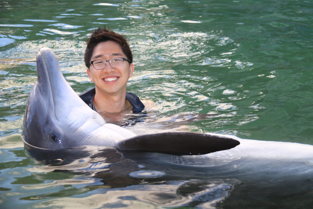 Post Doc YeonJoon Cheong in water with a dolphin. The pair are working on a project to better understand a dolphins "biosonar" that will help to upgrade healthcare tools like ultrasounds.