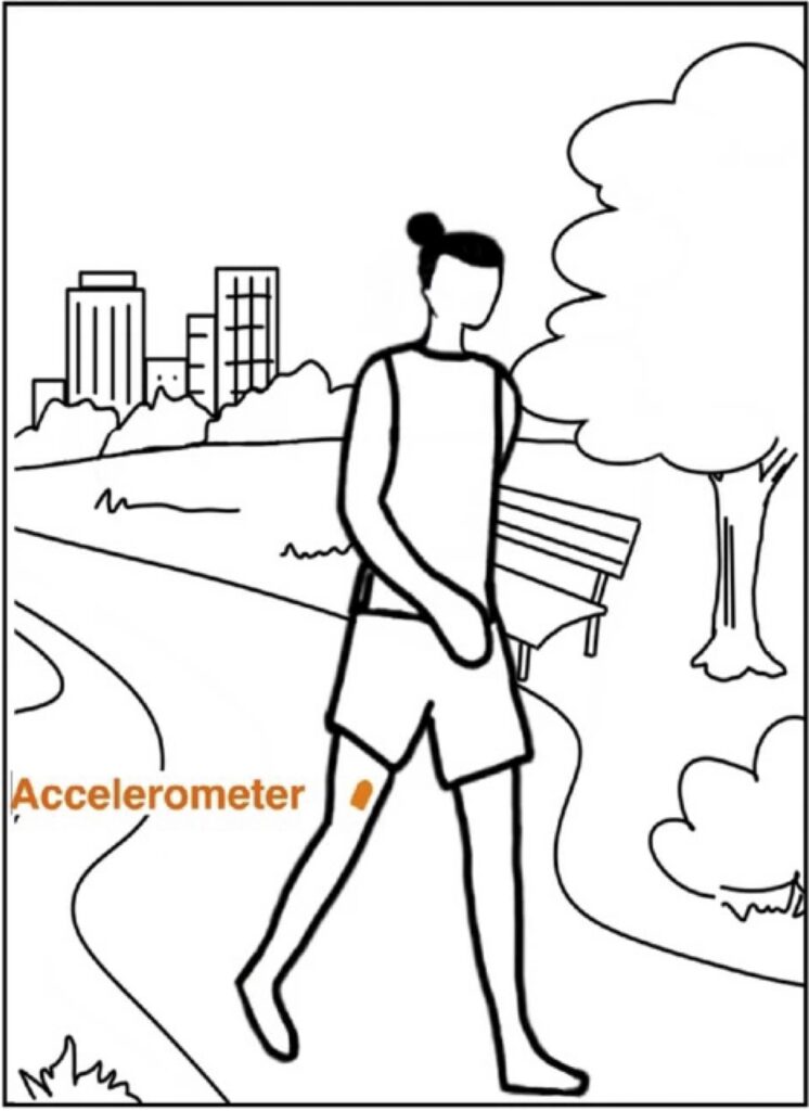 A drawing of a person walking on an outdoor park path wearing an accelerometer on their thigh.